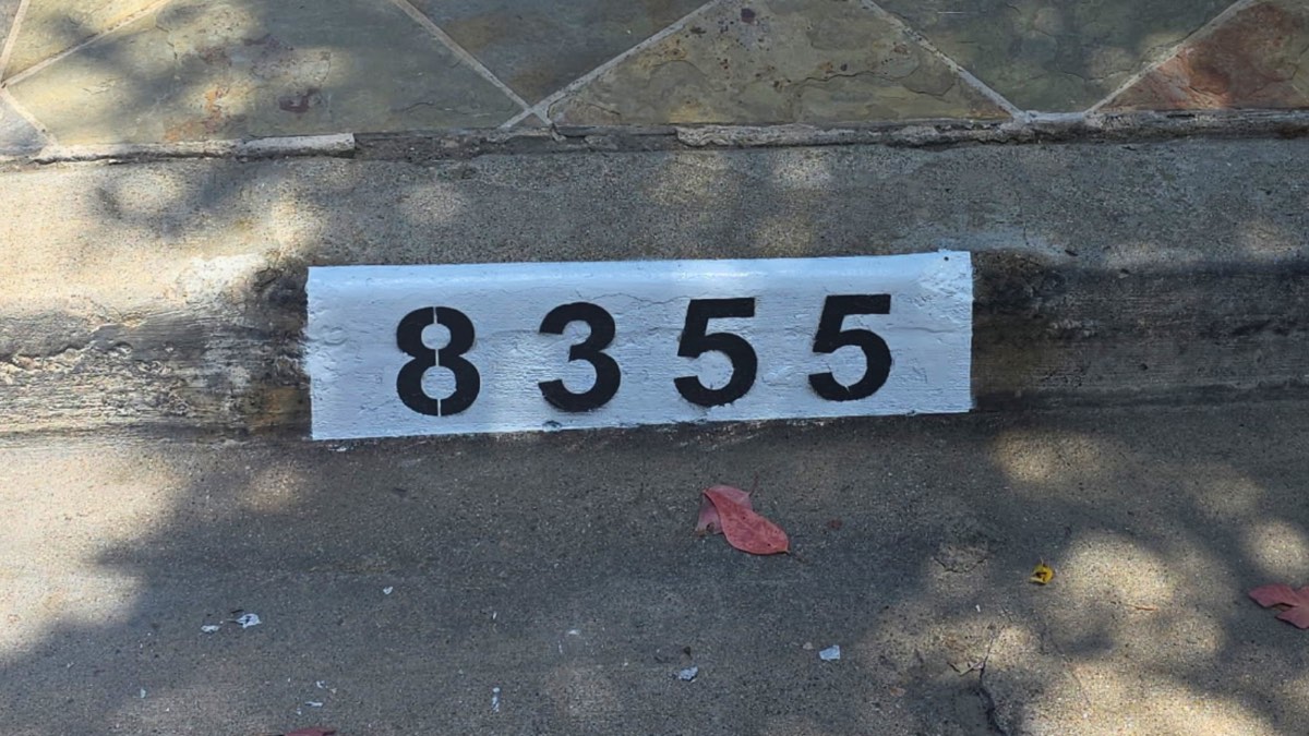 Black number 8355 painted on a white background curb marker in dappled shade near stone entry pavers