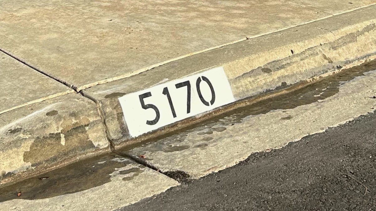 Black number 5170 painted on a white curb marker, glistening on a wet curb after rain