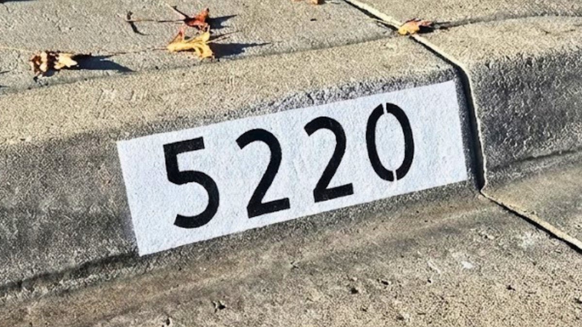Black number 5220 painted on a white background curb marker surrounded by fallen autumn leaves