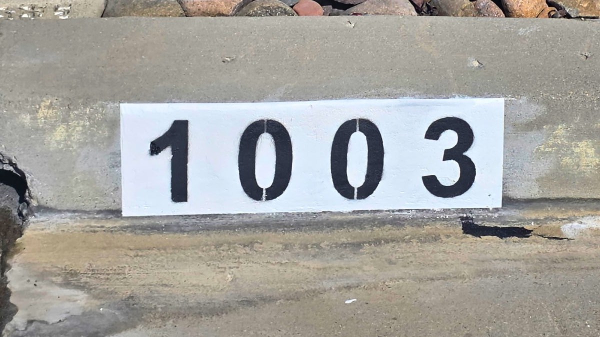 Black number 1003 painted on a white curb marker below a river rock landscaping border